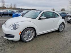 Volkswagen Beetle Vehiculos salvage en venta: 2016 Volkswagen Beetle se
