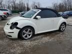 2007 Volkswagen New Beetle Triple White