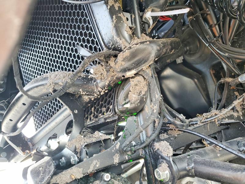 2025 Cf Moto Uforce Utility Vehicle