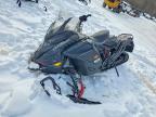 2025 Skidoo Renegade