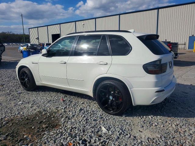 2010 BMW X5 m