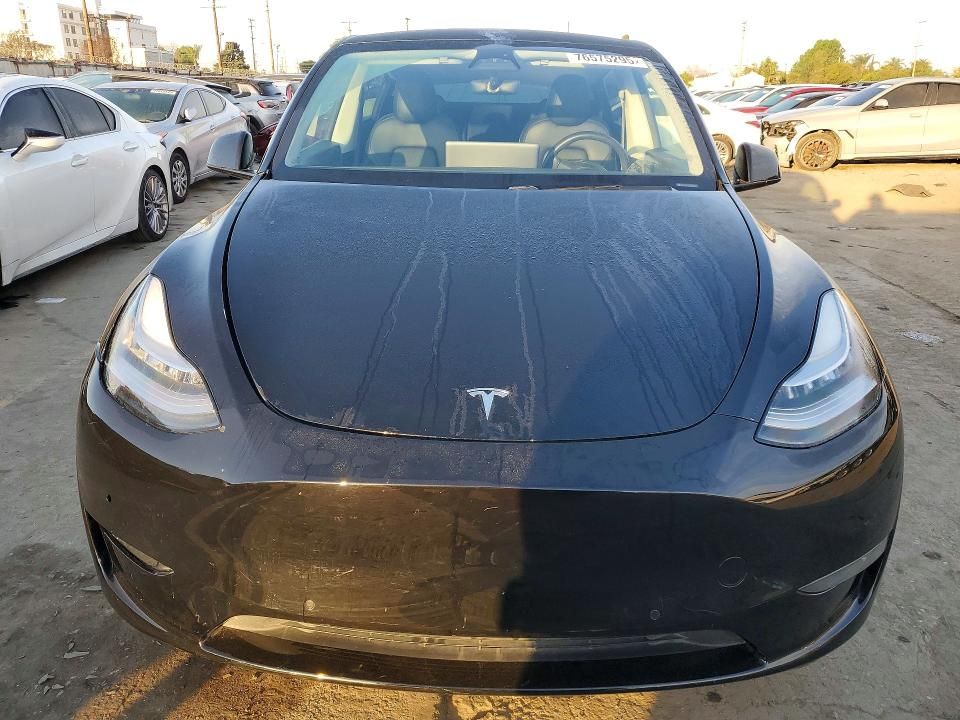 2020 Tesla Model y