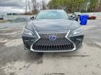 2020 Lexus Es 300h