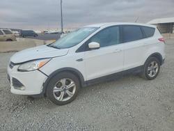 2014 Ford Escape se en venta en Brighton, CO
