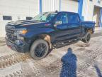 2024 Chevrolet Silverado K1500 Trail Boss Custom