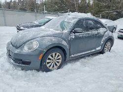 2012 Volkswagen Beetle for sale in Cookstown, ON