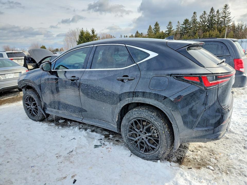 2025 Lexus Nx 350h Base