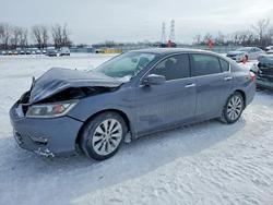 Honda salvage cars for sale: 2013 Honda Accord exl