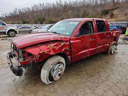 Dodge salvage cars for sale: 2006 Dodge Dakota Quad SLT