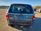 2010 Ford Escape xls