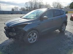 Ford salvage cars for sale: 2013 Ford Escape se