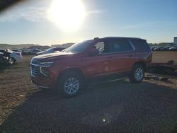 2026 Chevrolet Tahoe K1500 lt for sale in Phoenix, AZ
