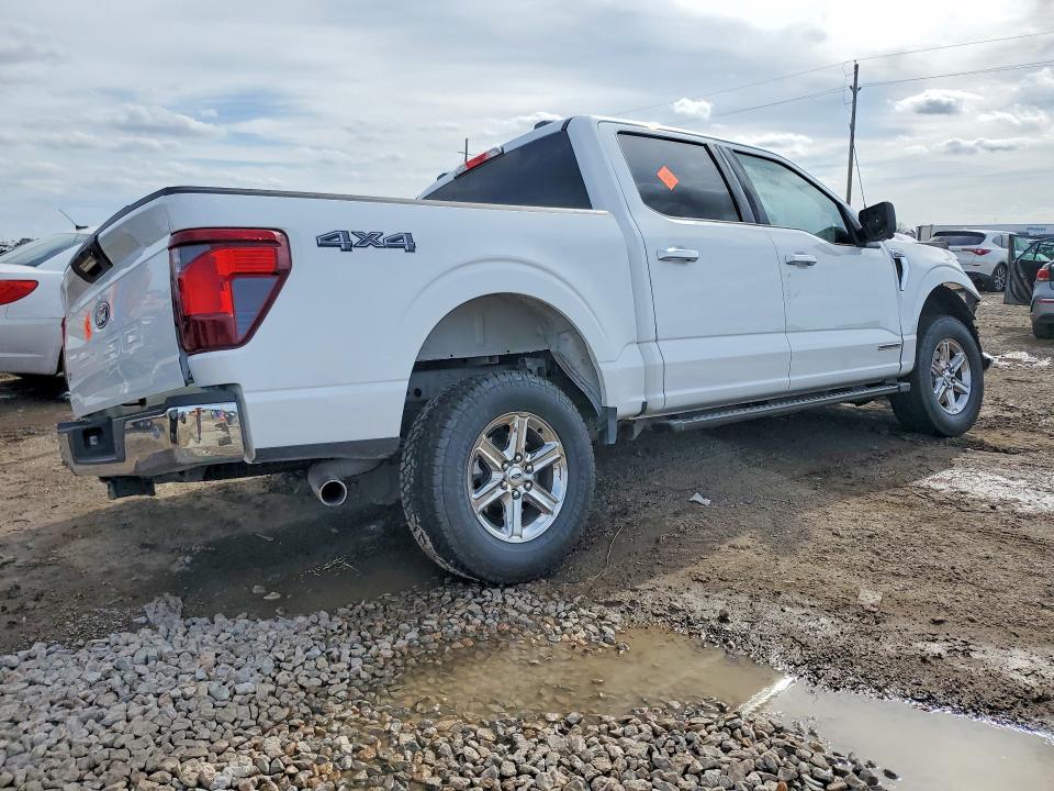 2024 Ford F150 xlt