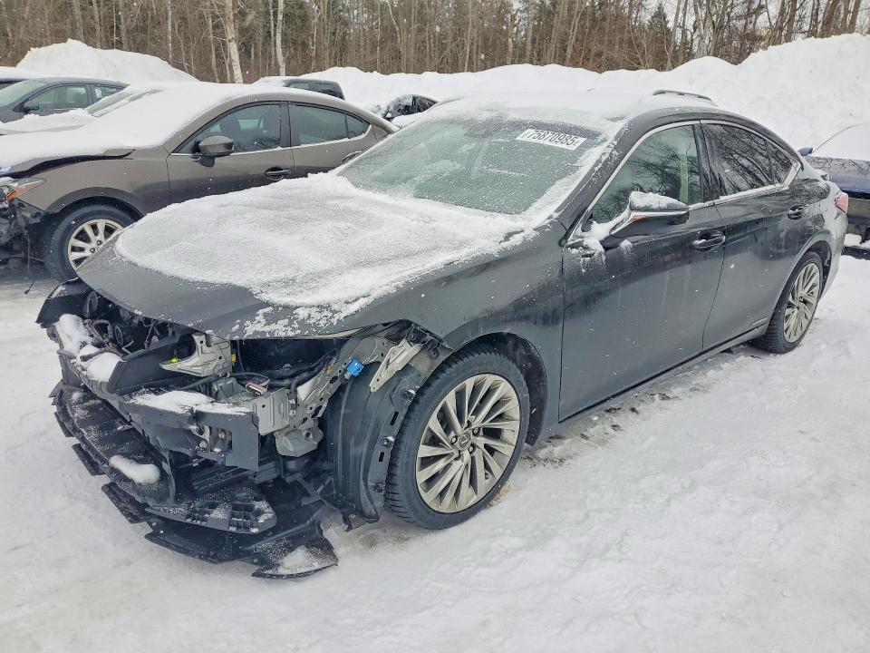 2019 Lexus Es 300h
