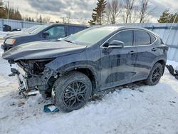 Lexus salvage cars for sale: 2025 Lexus Nx 350h Base