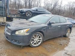 Nissan Maxima Vehiculos salvage en venta: 2010 Nissan Maxima s