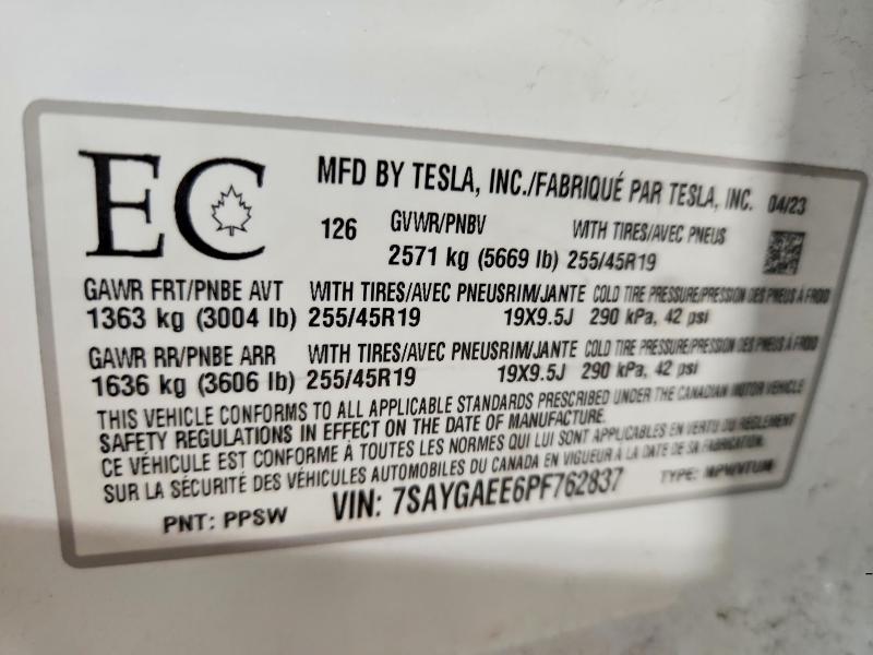 2023 Tesla Model y