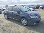 2010 Lexus Hs 250h