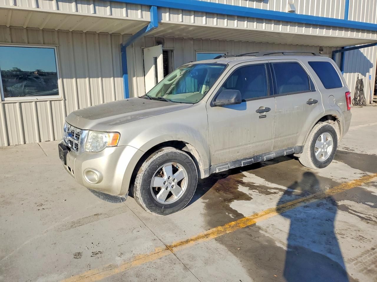 2011 Ford Escape xlt
