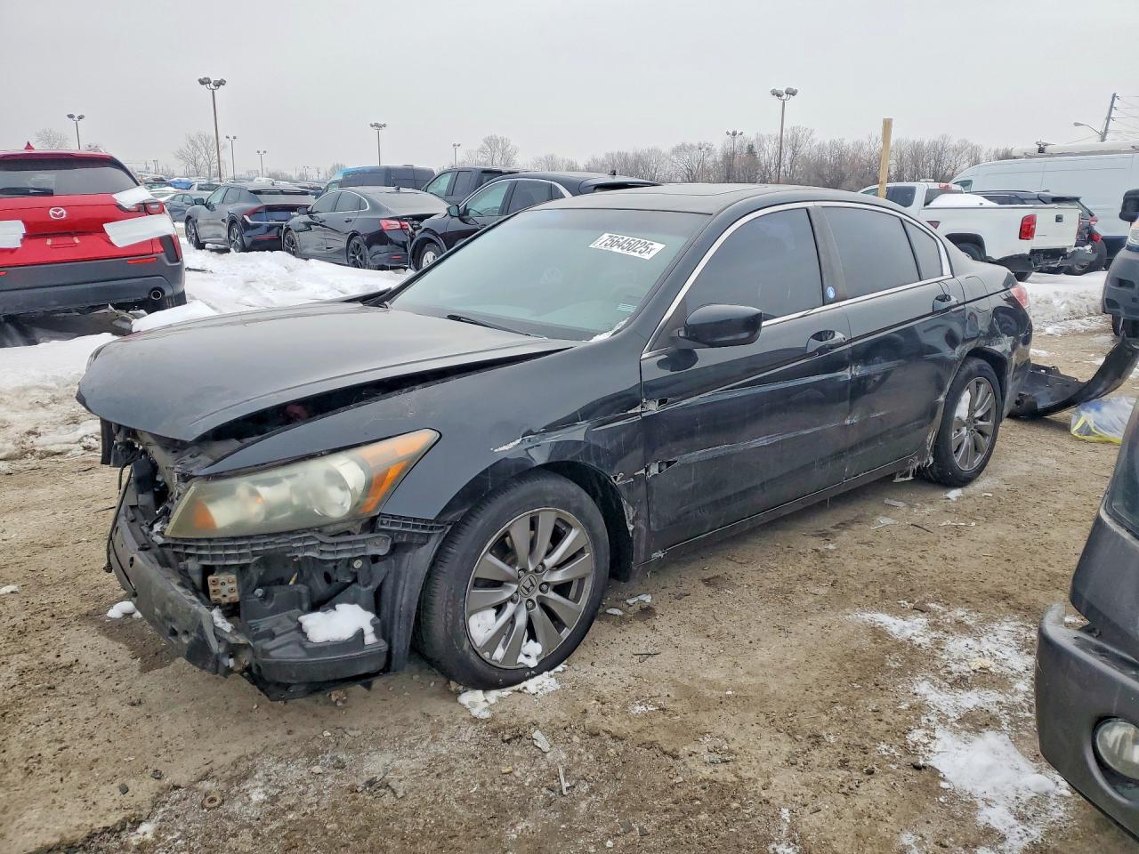 2011 Honda Accord exl
