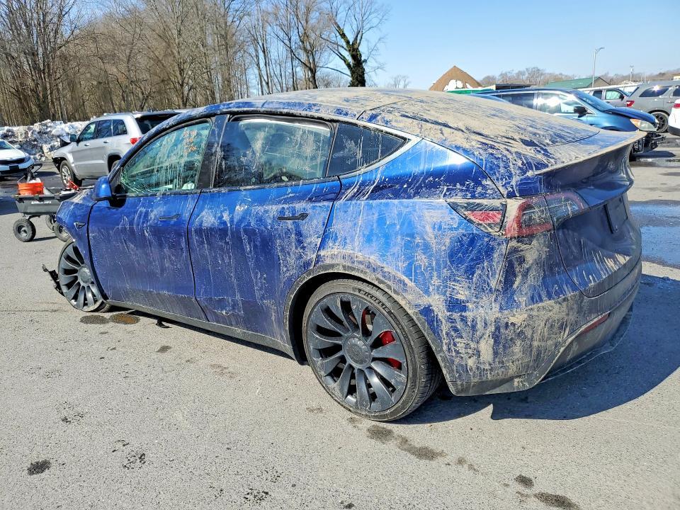 2022 Tesla Model y