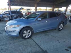 Honda Accord salvage cars for sale: 2010 Honda Accord Crosstour ex