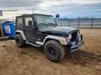 2001 Jeep Wrangler / tj se