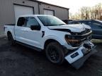 2024 Ford F150 XLT