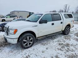 Salvage trucks for sale at Wayland, MI auction: 2013 Ford F150 Supercrew