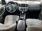 2006 Ford Escape xlt