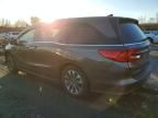 2021 Honda Odyssey exl