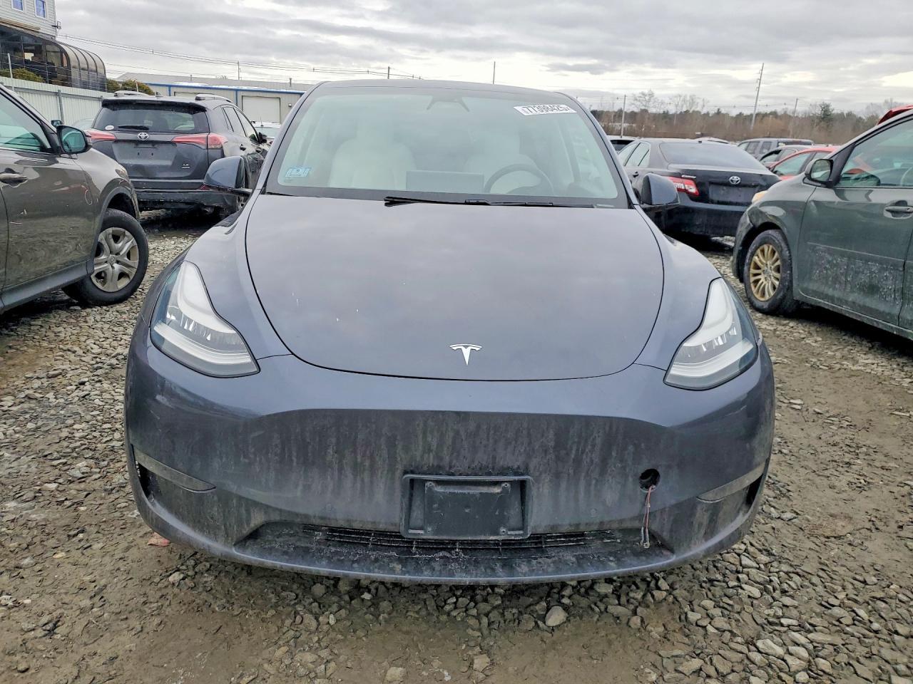 2020 Tesla Model y