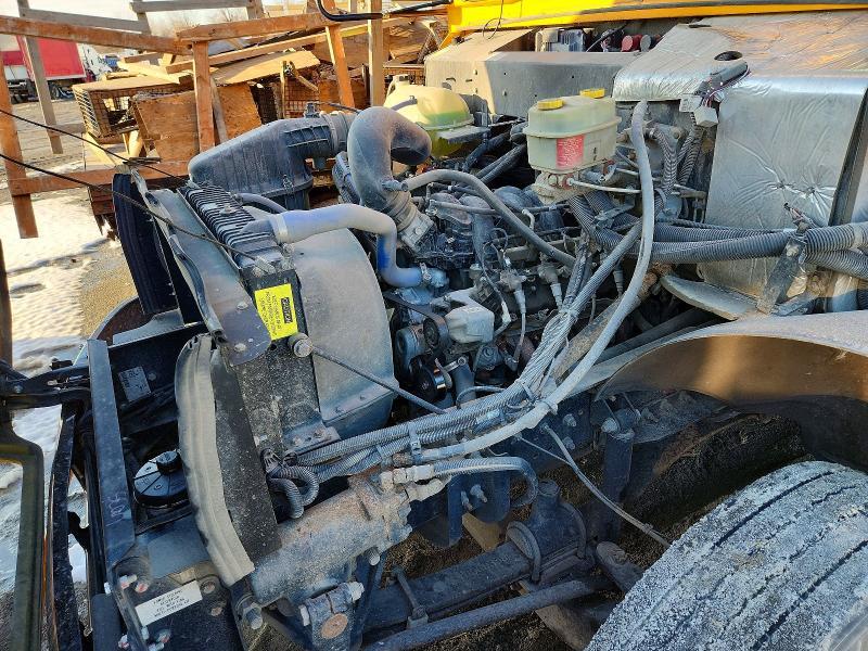 2023 Blubird School Bus / Transit Bus