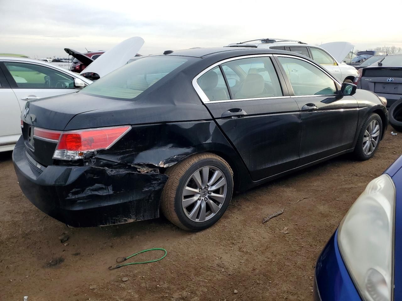 2012 Honda Accord exl