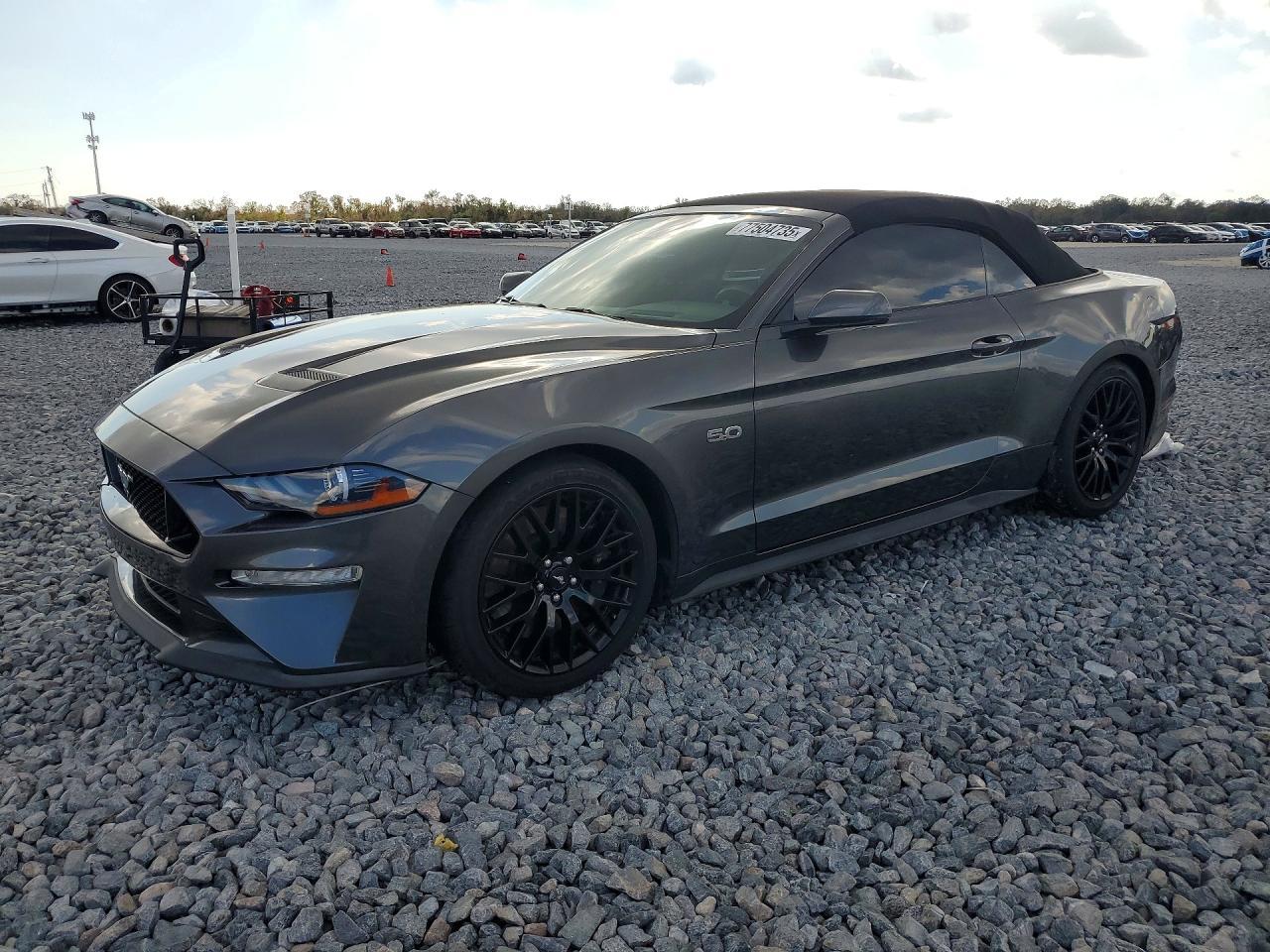 2019 Ford Mustang gt