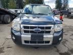 2009 Ford Escape Limited
