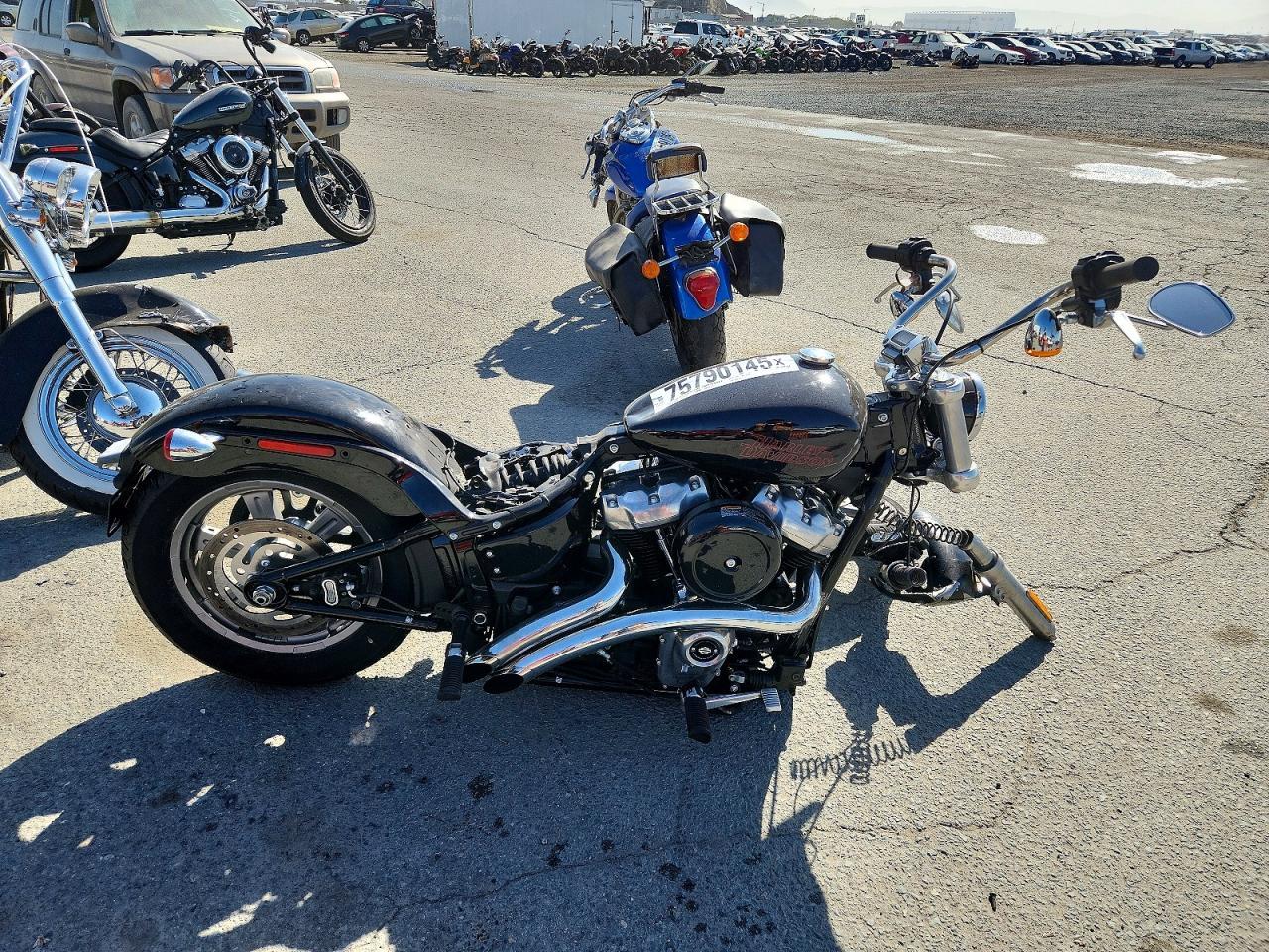 2024 Harley-Davidson Fxst