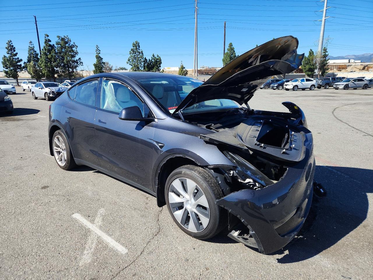 2024 Tesla Model y