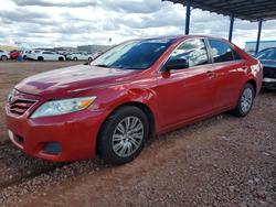 Salvage cars for sale from Copart Phoenix, AZ: 2010 Toyota Camry Base