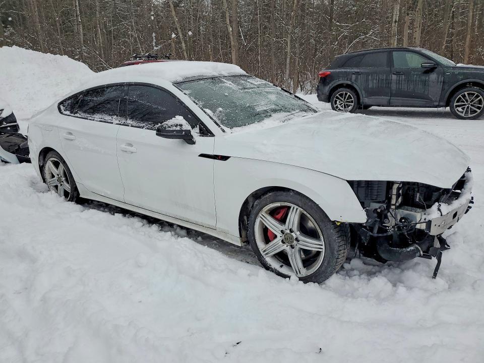 2024 Audi S5 Prestige