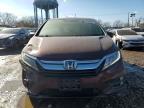 2020 Honda Odyssey exl