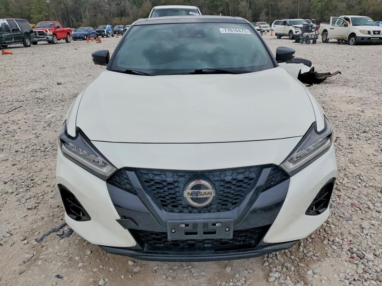 2021 Niss Maxima
