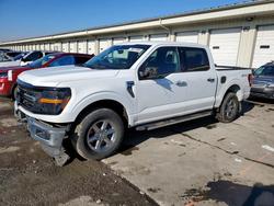 Salvage trucks for sale at Louisville, KY auction: 2024 Ford F150 XLT