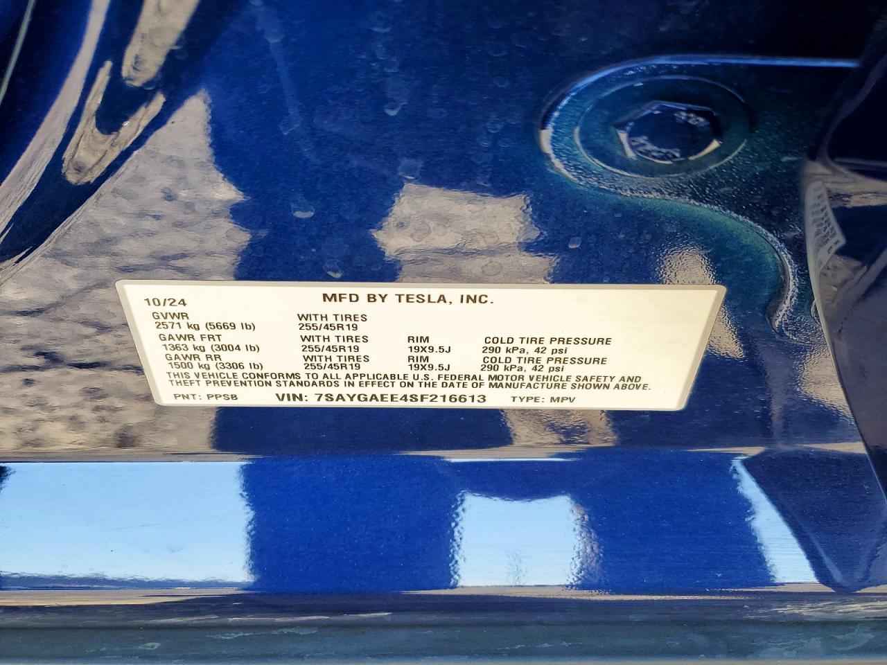 2025 Tesla Model y
