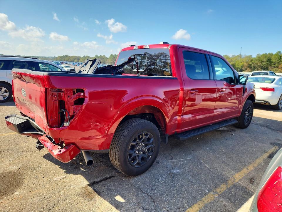 2025 Ford F150 xlt