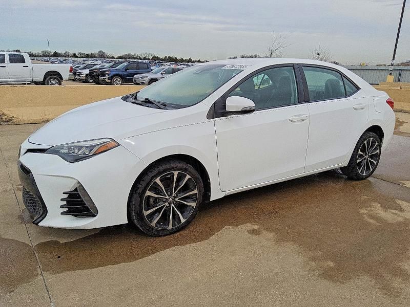 2019 Toyota Corolla l