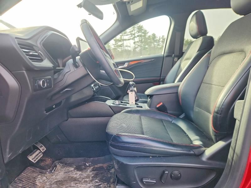 2024 Ford Escape st Line