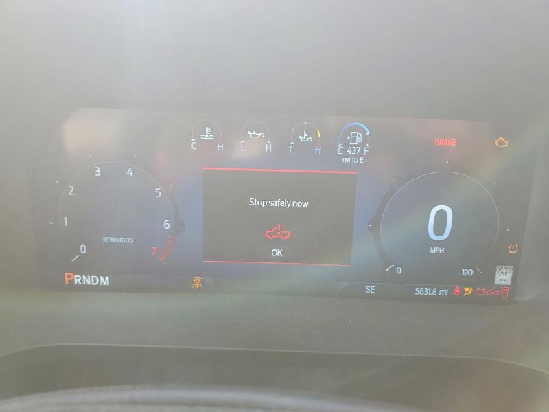 2025 Ford F150 XLT