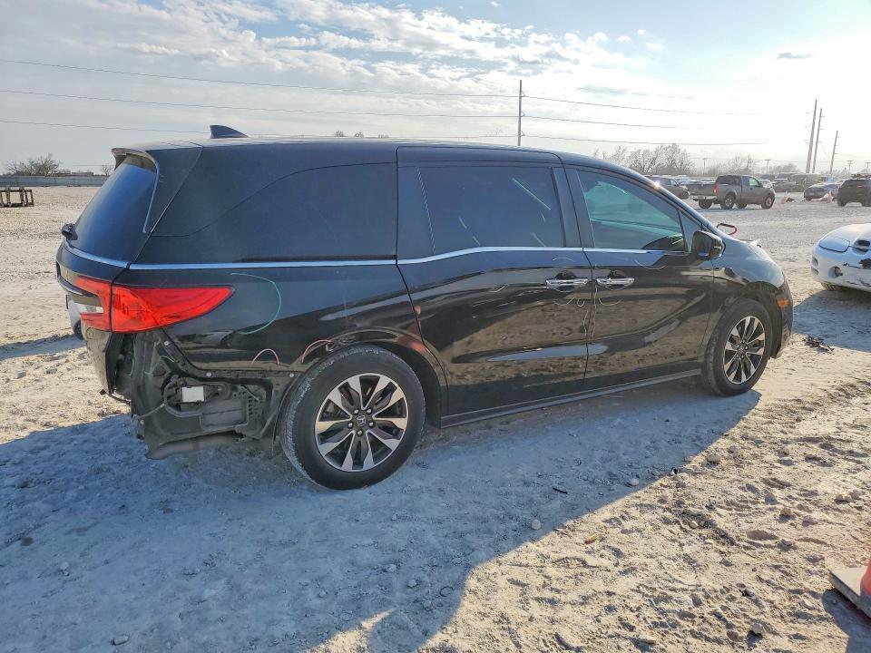 2024 Honda Odyssey exl