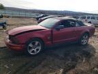 2009 Ford Mustang
